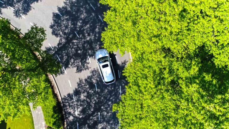 an aerial view of a car on a road between trees